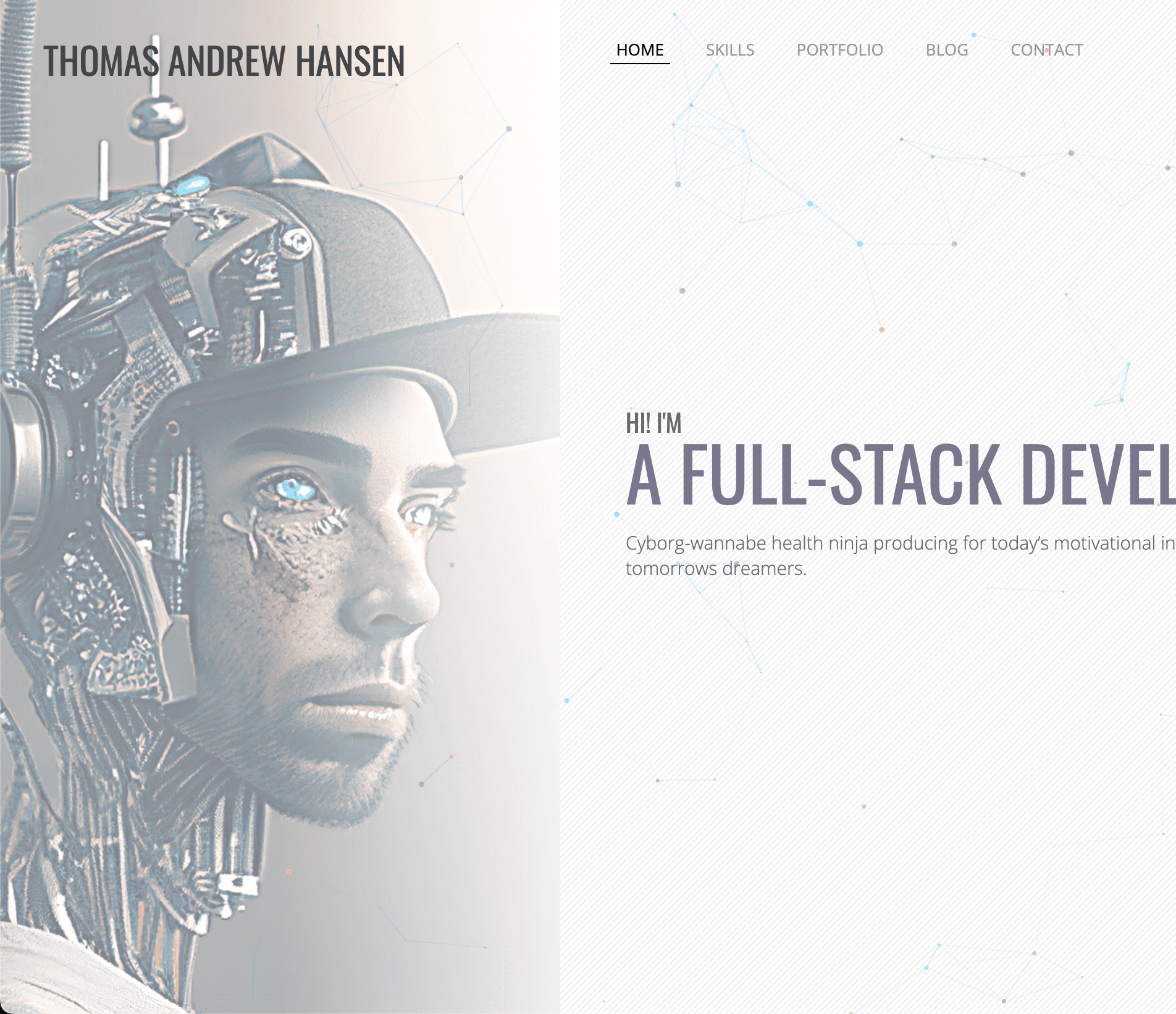 Thomas Andrew Hansen portfolio website